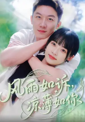 风雨如诉,凉薄如你海报