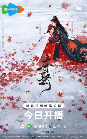 夺娶海报