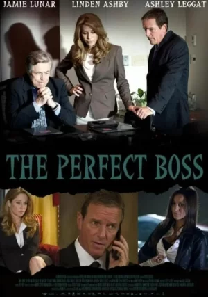 完美的老板海报