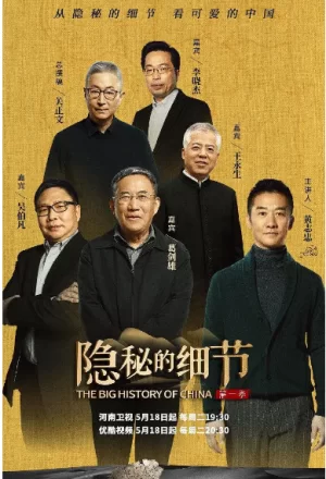 隐秘的细节海报