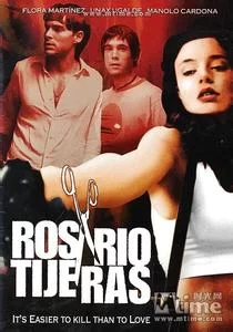 玫瑰剪刀手海报