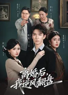 离婚后,我逆风翻盘海报