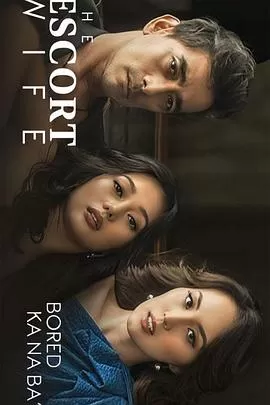 妻子保卫战[电影解说]海报