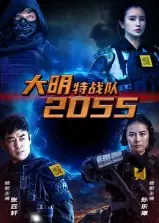 大明特战队海报