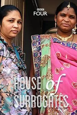 代孕者[电影解说]海报