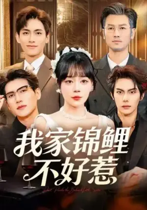 我家锦鲤不好惹海报