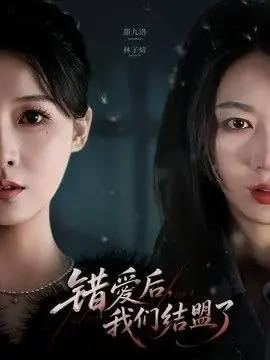 错爱后,我们结盟了海报