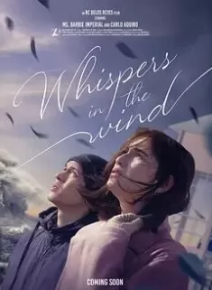 风中的低语海报