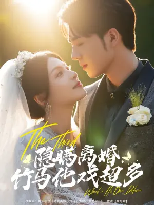 隐瞒离婚,竹马他戏超多海报