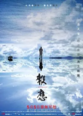 迷途追凶海报