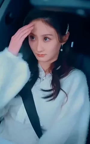 傅先生宠妻无度海报