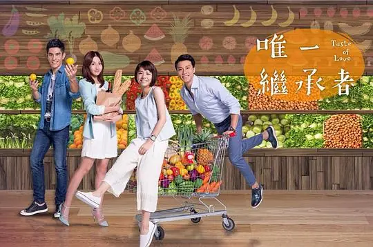 唯一继承者海报