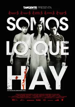 我们就是我们海报