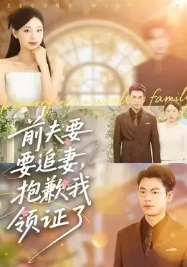 前夫要追妻,抱歉我领证了海报