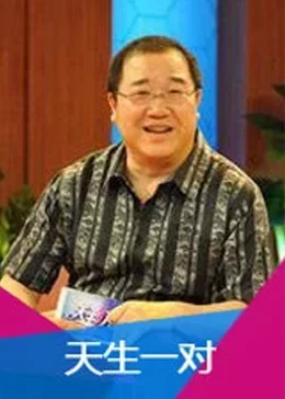 天生一对海报
