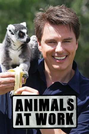 动物打工记海报