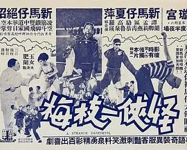 怪侠一枝梅海报