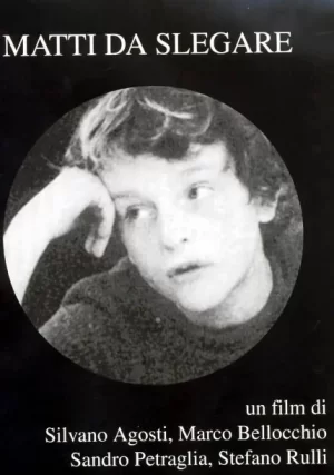 解放了的疯子海报