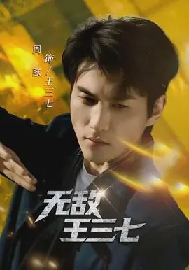 无敌王三七海报