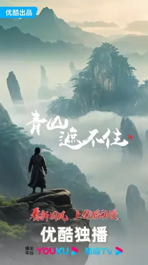 青山遮不住海报