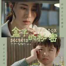 盒子的秘密海报