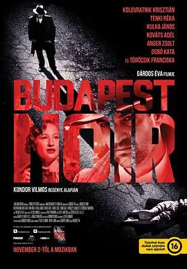 黑色布达佩斯BudapestNoir海报