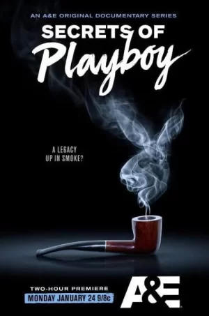 花花公子的秘密第一季海报