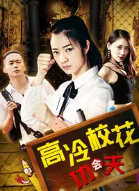 高冷校花会功夫海报