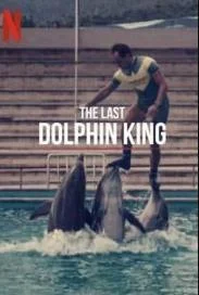 海豚王之死海报