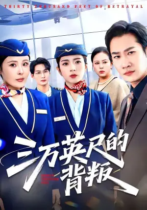 三万英尺的背叛海报