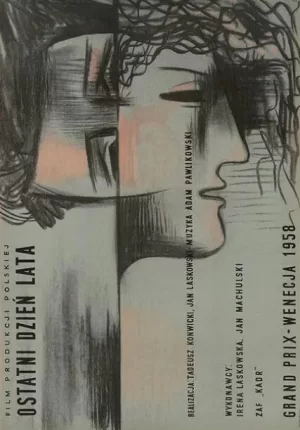 夏日的最后一天海报