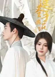 逍遥圣手混花都海报