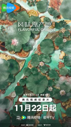 风味原产地·湖北海报