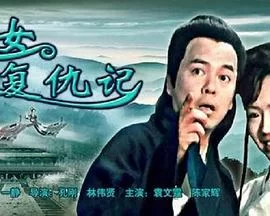 侠女复仇记海报