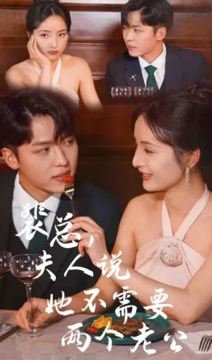 裴总,夫人说她不需要两个老公海报