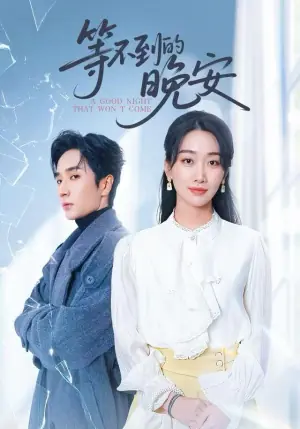 未说完的晚安海报