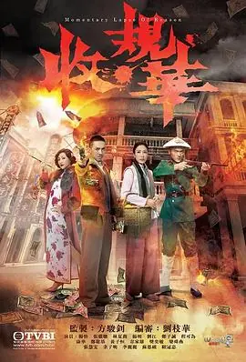 收规华(国语)海报