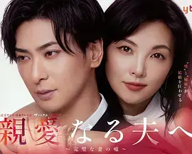 致亲爱的丈夫完美妻子的谎言海报