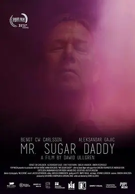 糖爹先生Mr.SugarDaddy海报