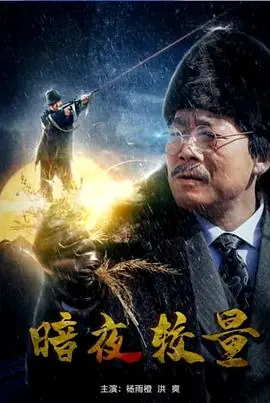 暗夜较量海报