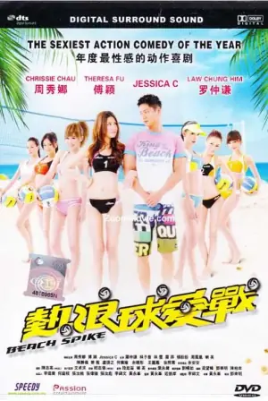热浪球爱战海报