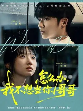 怎么办,我不想当你哥哥海报