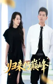 归来仍巅峰海报