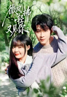 微风轻拂又见你海报