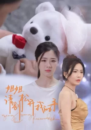 姐姐请别松开我的手海报