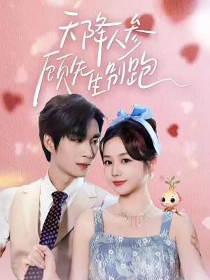 天降人参顾先生别跑海报