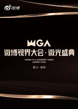 微博视界大会&middot;微光盛典海报