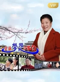 追逐梦想的她们海报