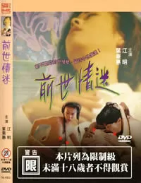 前世情迷海报