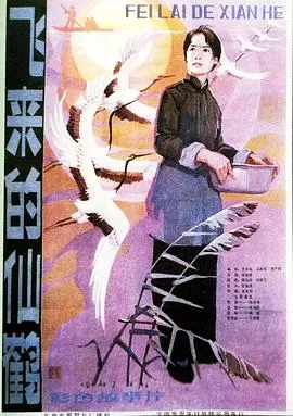 飞来的仙鹤海报